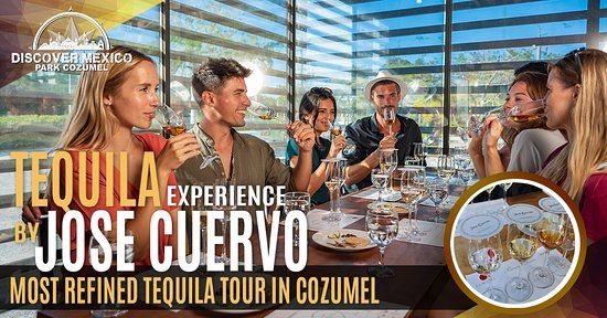 Discover Mexico Park Cozumel